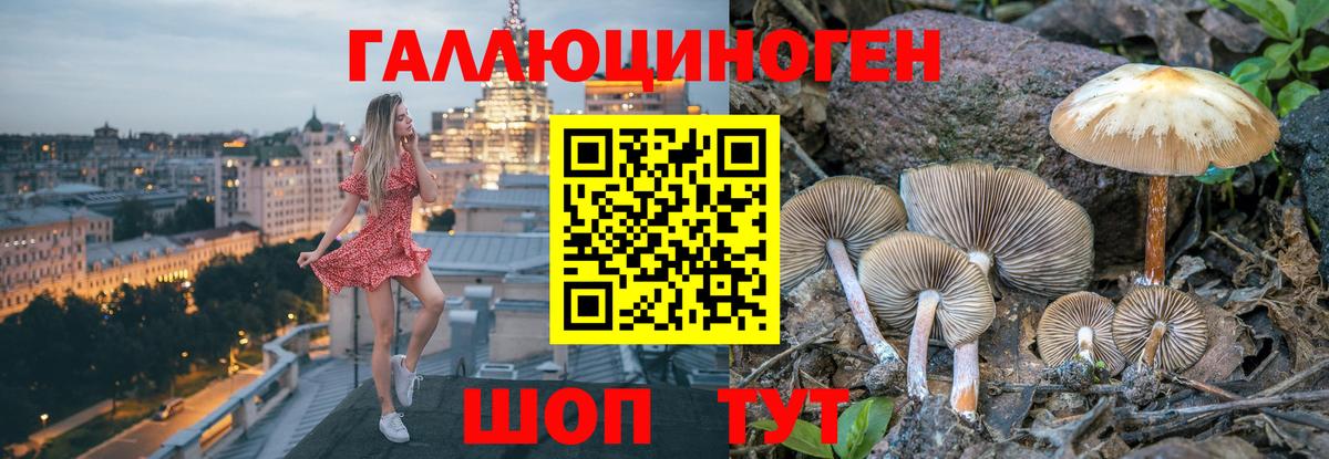 Псилоцибиновые грибы Psilocybine cubensis  Вход с VPN  как найти закладки  Йошкар-Ола 
