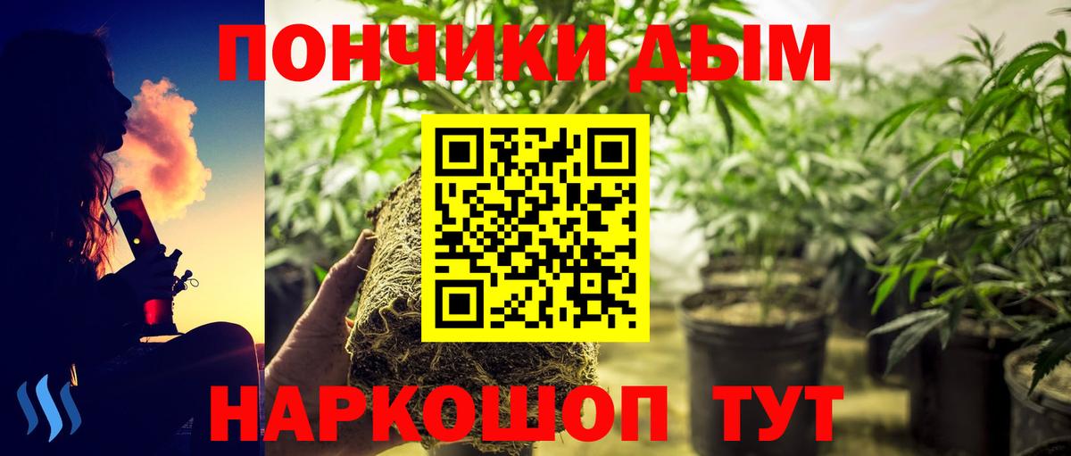 Бошки Шишки марихуана Йошкар-Ола